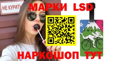 стаф Шебекино