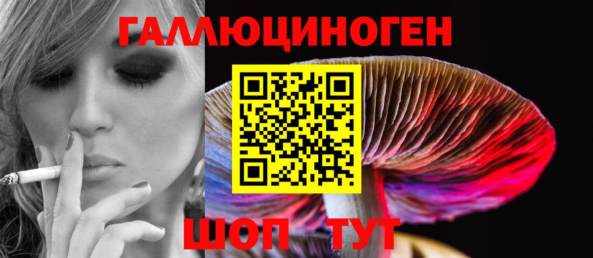 Галлюциногенные грибы Cubensis Камышлов